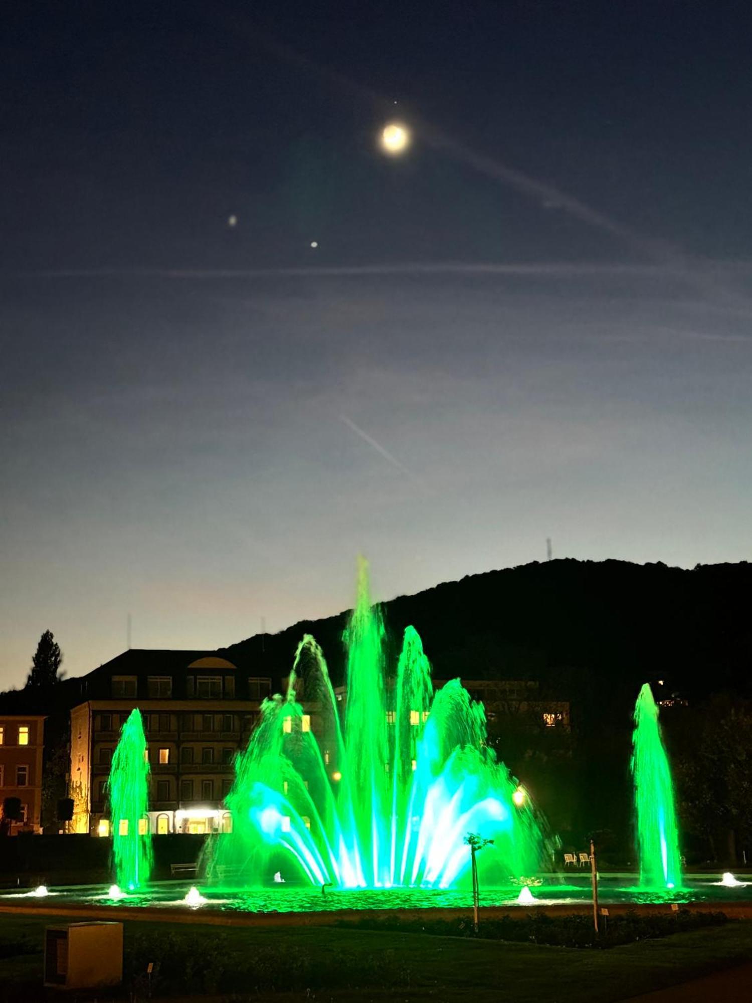 Apartments Gala, Ruhige Lage, Stadtnah Bad Kissingen Luaran gambar