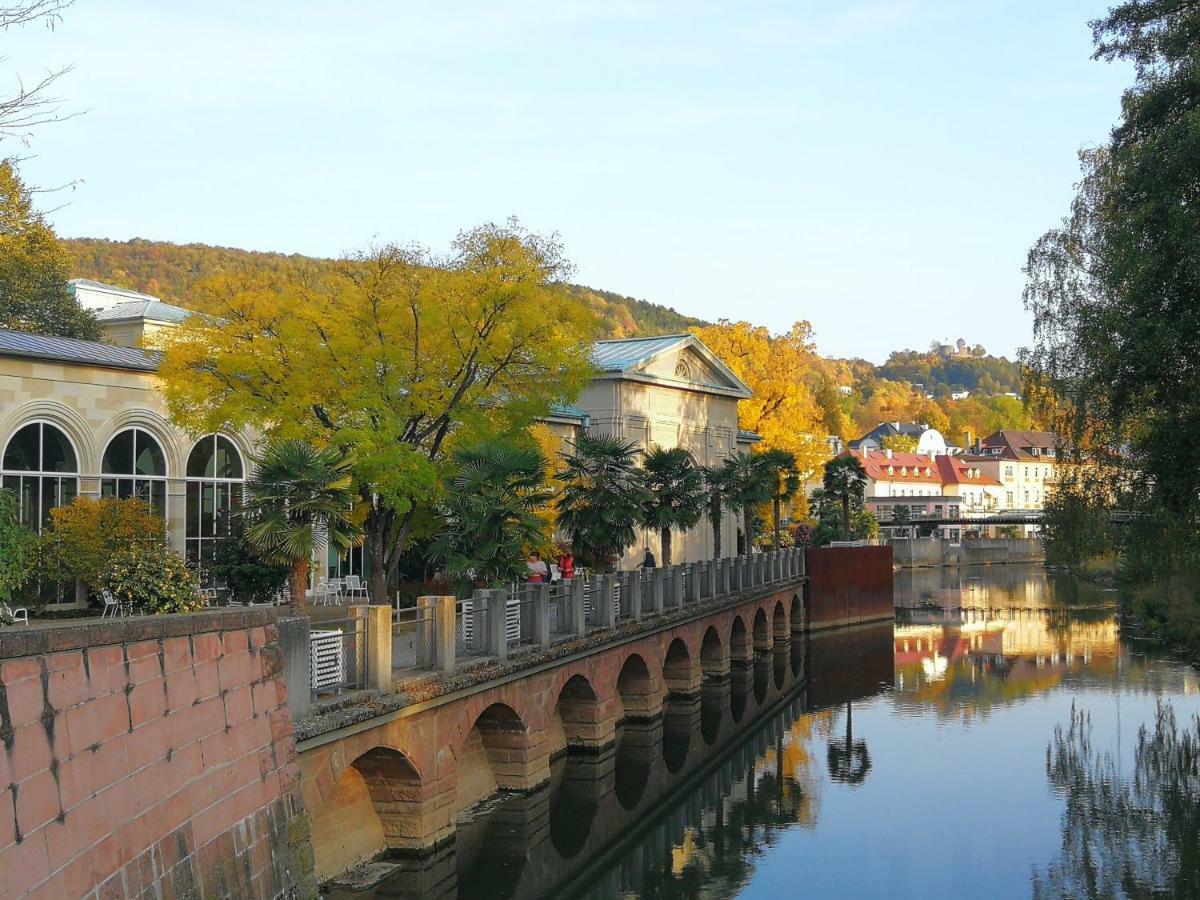 Apartments Gala, Ruhige Lage, Stadtnah Bad Kissingen Luaran gambar
