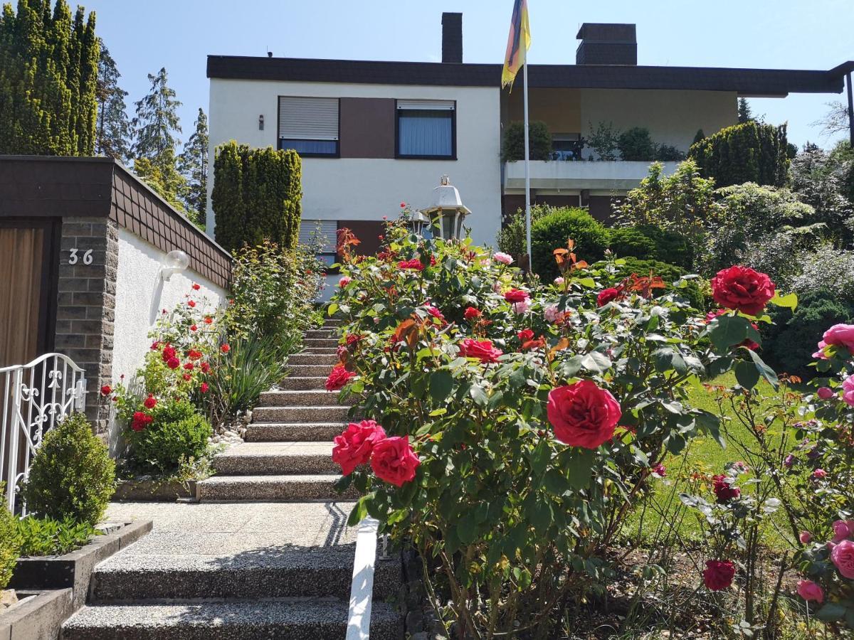 Apartments Gala, Ruhige Lage, Stadtnah Bad Kissingen Luaran gambar